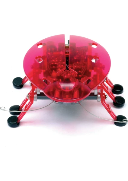 Hexbug Böcek Pembe